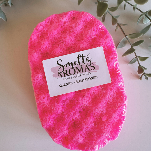 Alienne Soap Sponge