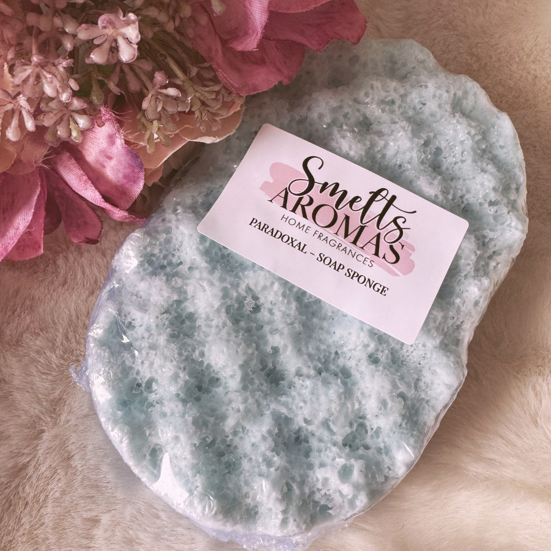 Paradoxal Soap Sponge