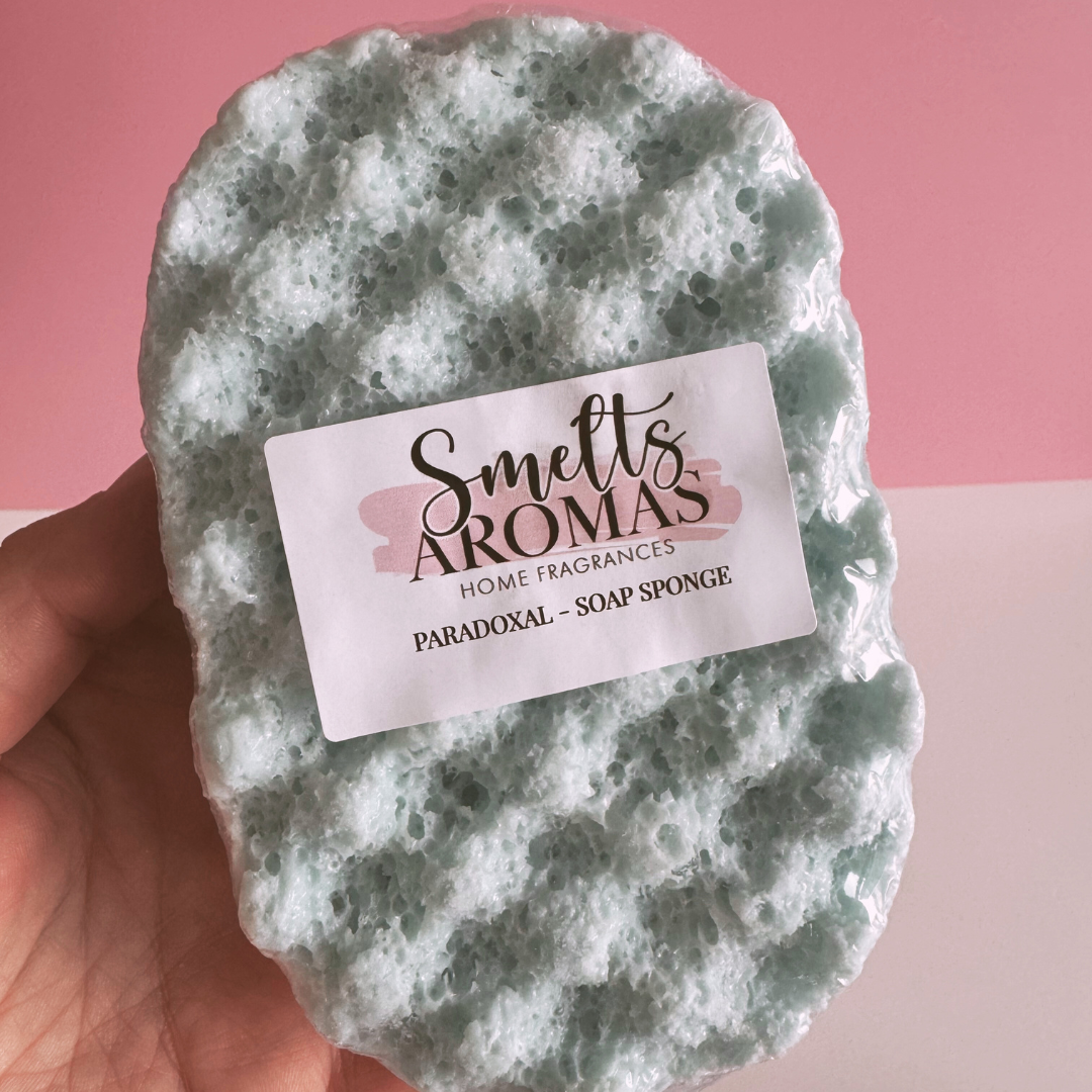 Paradoxal Soap Sponge