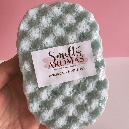 Paradoxal Soap Sponge