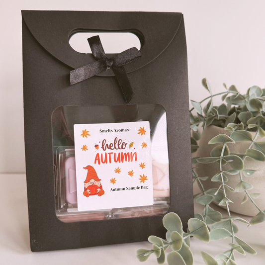 Smelts Aromas Autumn Collection Sample Bag with 10 mini 20g wax melt clamshells in sweet, spooky, cosy and warm autumn fragrances.
