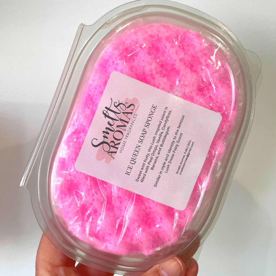 Plastic Soap Sponge Storage Box Reusable Travel | by Smelts Aromas